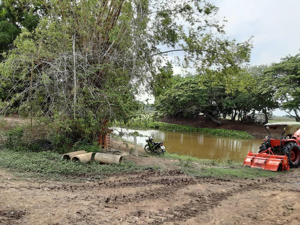 ที่ดินเปล่า อ่างทอง 41-2-86