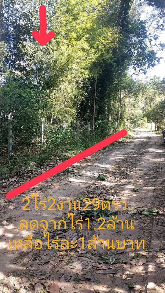 ขายที่ดิน อุบลราชธานี 2-2-29 ไร่