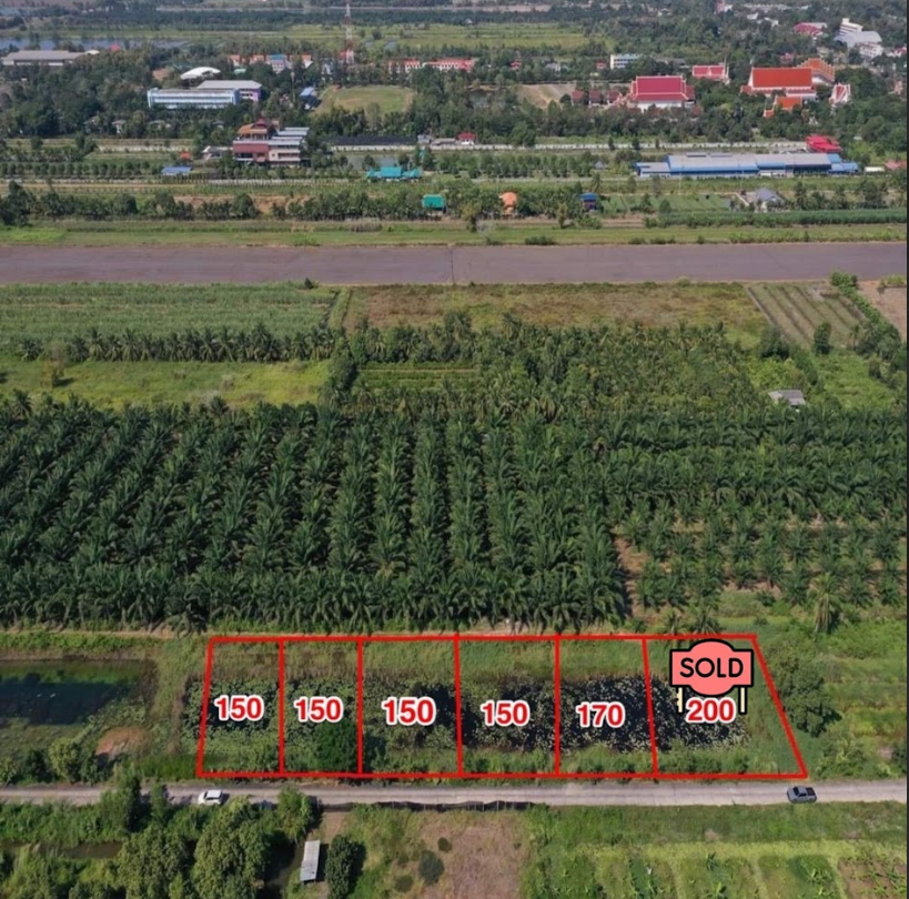 ขายที่ดินปทุมธานี หนองเสือ แปลงสวย ติดทางสาธารณะ คลอง 10 ซอย 13
