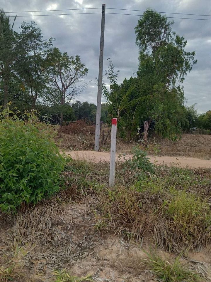 ที่ดินเขตเมืองขอนแก่น เหล่านาดี 1 งาน