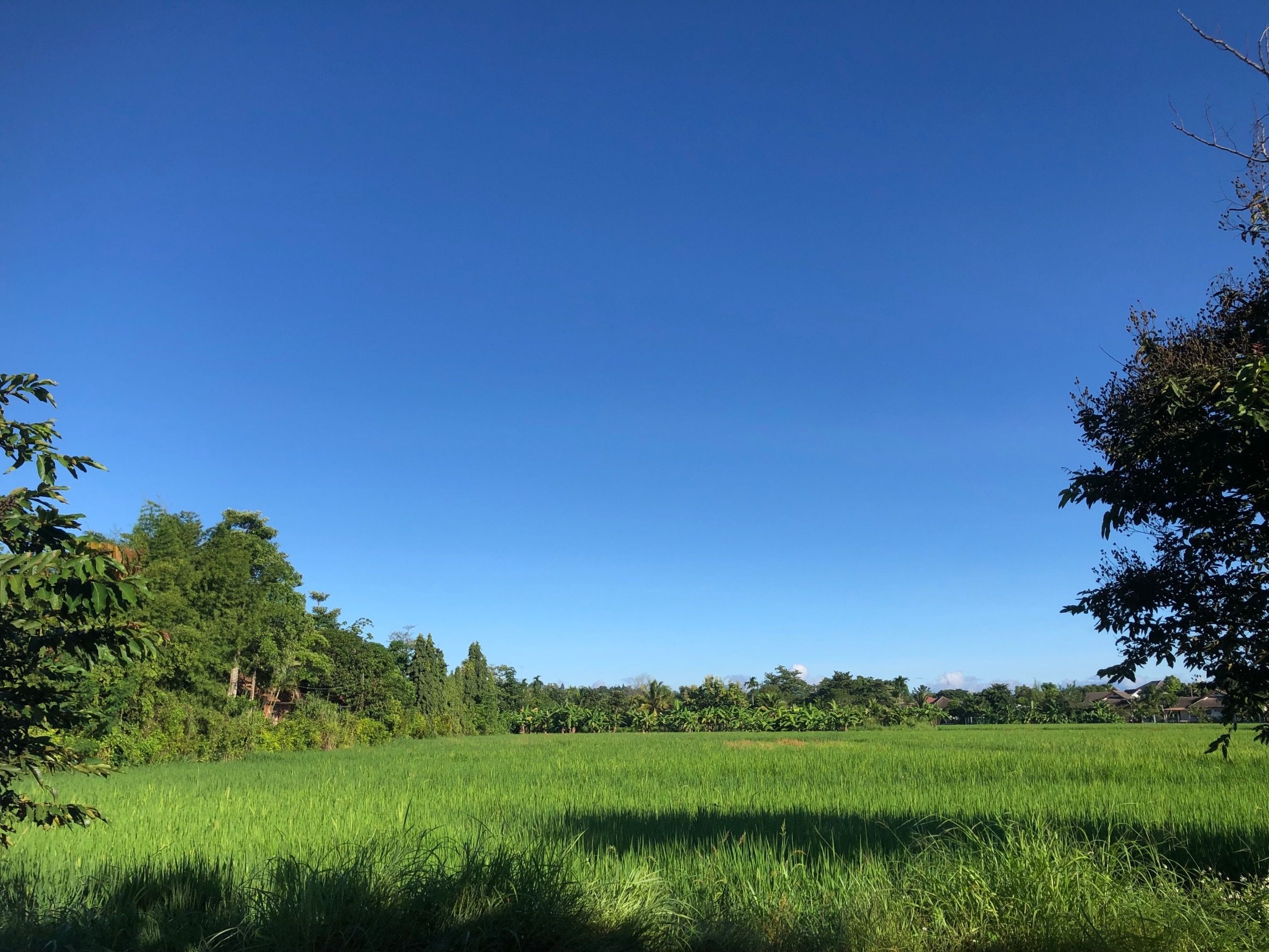 ขายที่ดินวิวสวยธรรมชาติ ติดลำธาร ใกล้ตัวเมือง