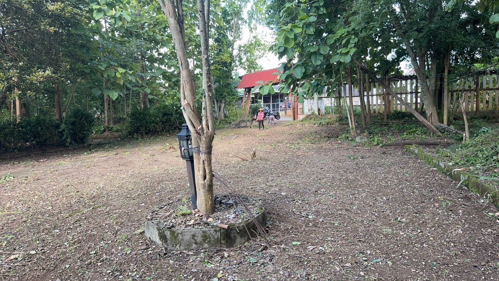 ขายที่ดินเชียงใหม่ อำเภอเชียงดาว ที่ดินพร้อมสิ่งปลูกสร้าง ราคาคุยได้ ที่ดินสวย เหมาะกับการลงทุนสร้าง รีสอร์ท อ.เชียงดาว จ.เชียงใหม่