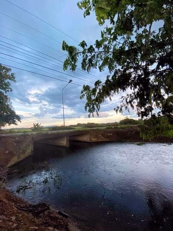 ที่ดินที่นา ป่าซาง ลำพูน 6-1-66