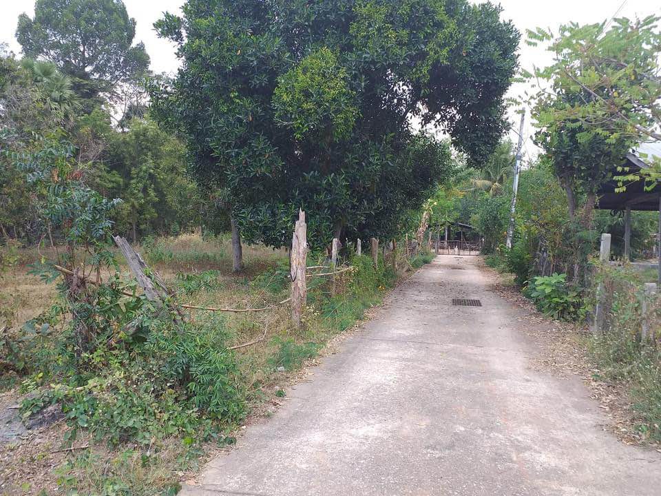 ที่ดิน อ.แวงใหญ่ ขอนแก่น 395 ตรว.