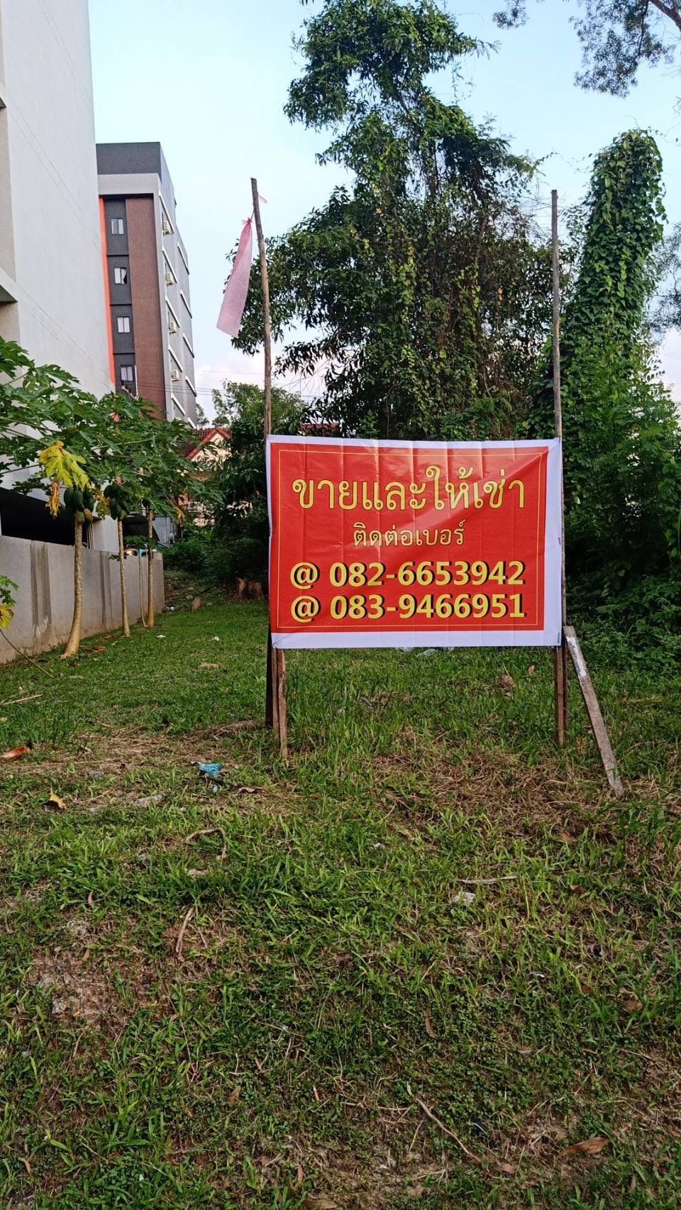 ขายที่ดิน หาดใหญ่ สงขลา 50 ตร.ว