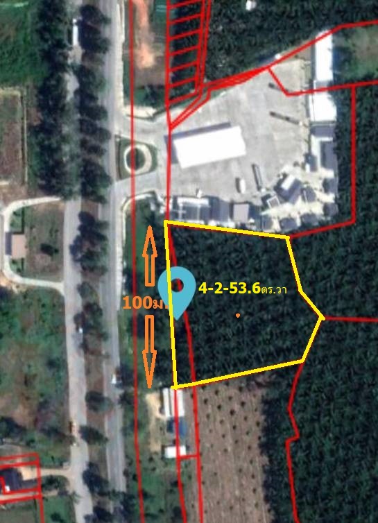 ขายที่ดิน สุราษฎร์ธานี 4-2-53.6 ไร่