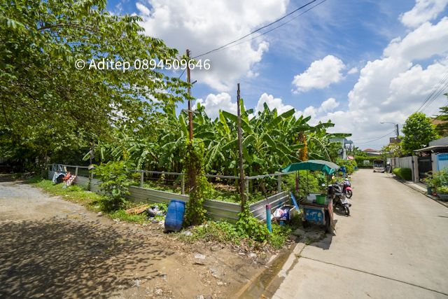 ขายที่ดินกรุงเทพ ลาดพร้าว นาคนิวาส 28 แปลงมุม 100 ตรว ติดถนน 2 ด้าน หน้ากว้าง 20 ม. เข้าซอยเพียง 300 ม. สภาพแวดล้อมดี เหมาะปลูกบ้าน