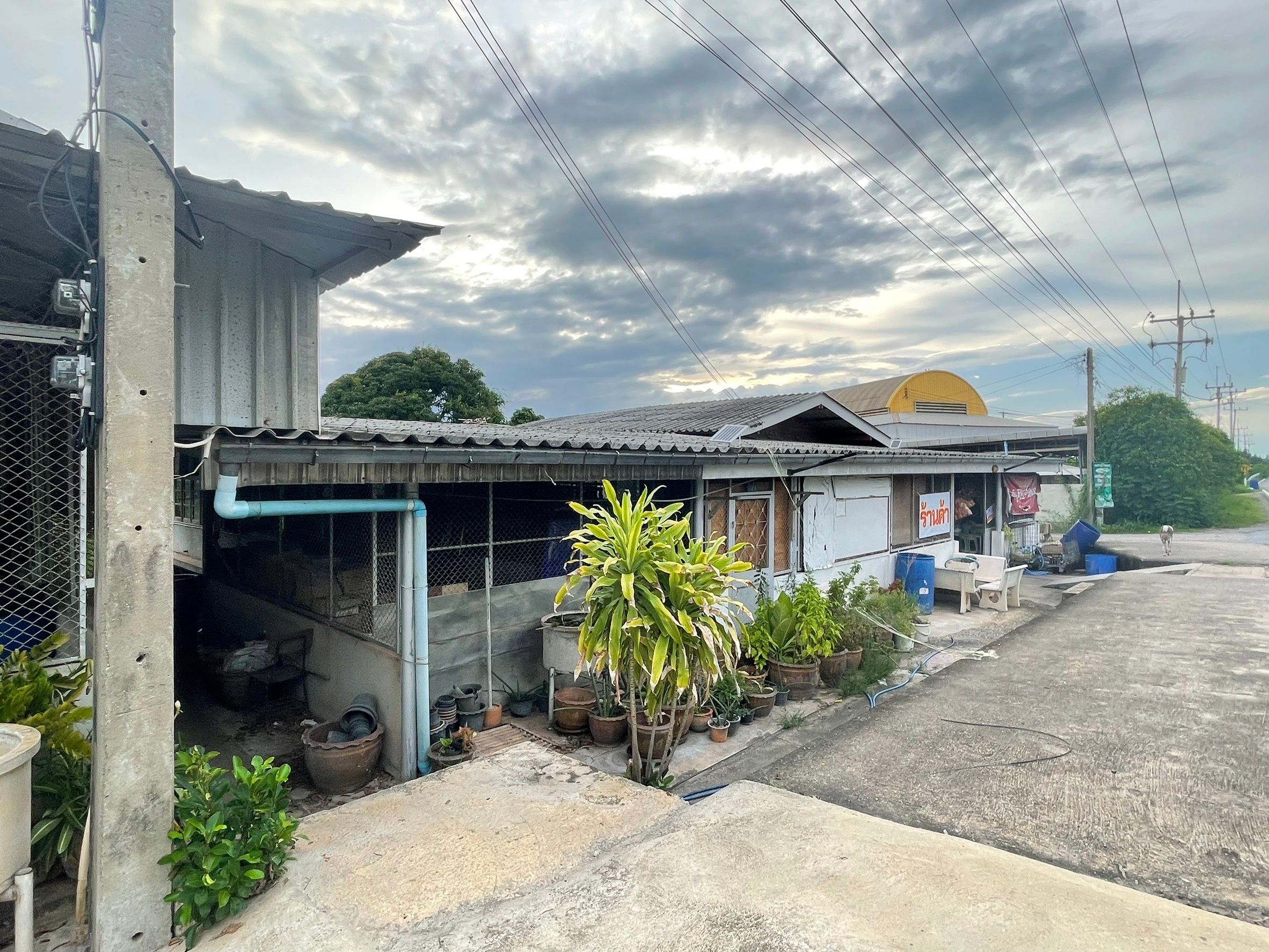 ขายที่ดินบ้านแพ้ว