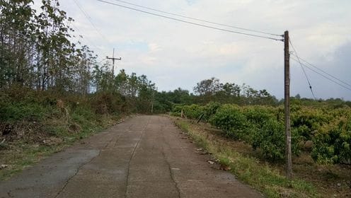 ที่ดินบรรยากาศดี ใกล้ถนนคชเสนีย์ หนองไผ่ เพชรบูรณ์