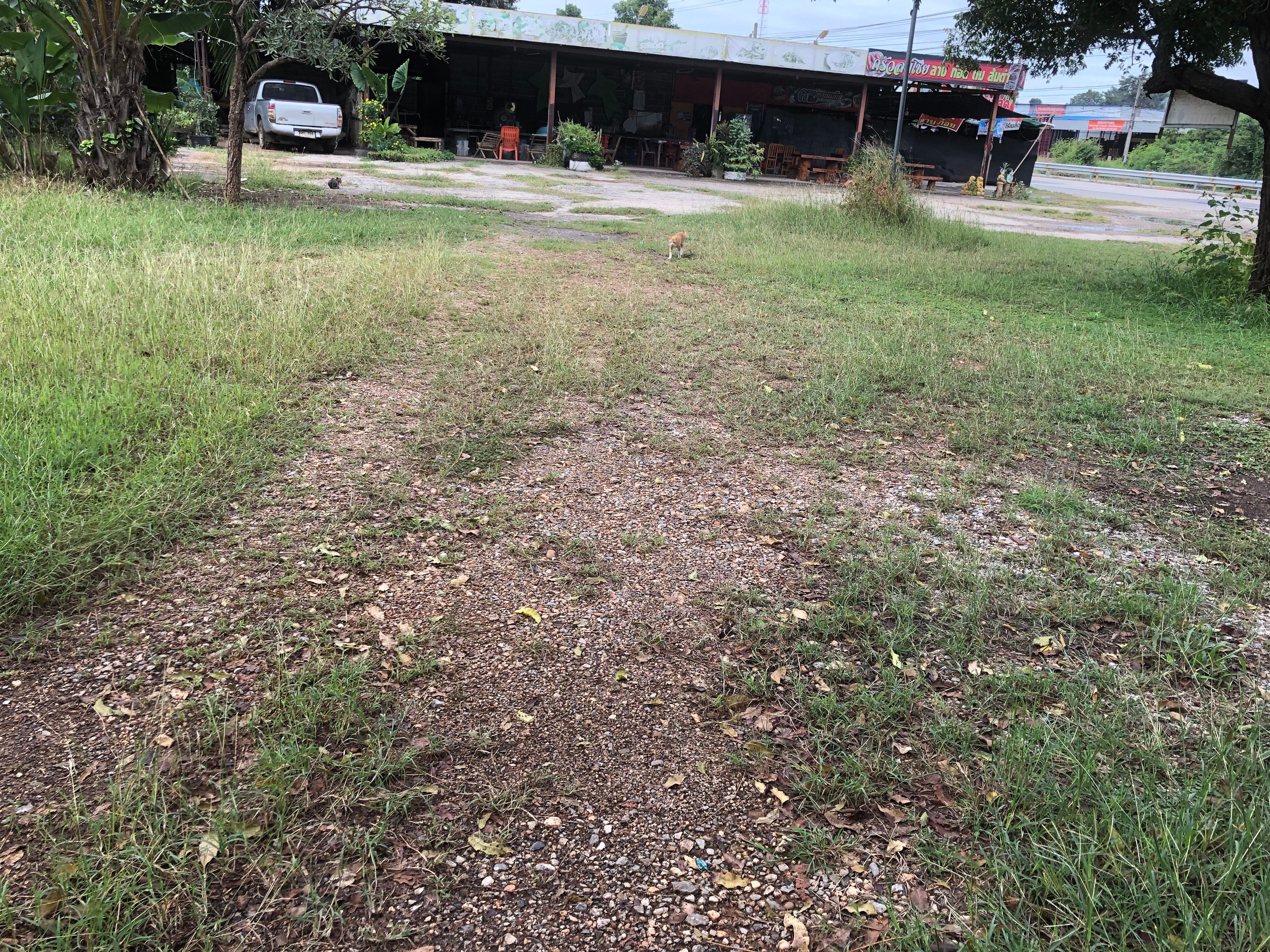 ที่ดินติดถนนมิตรภาพ 12 ไร่ พร้อมบ้าน  ร้านอาหาร