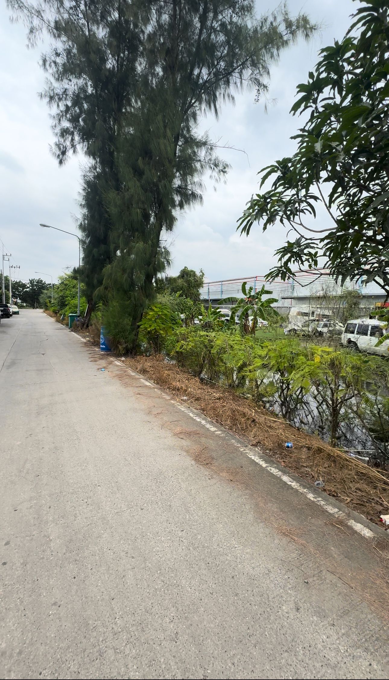 ขายที่ดิน จ.ปทุมธานี ลำลูกกา (ธัญญะ)