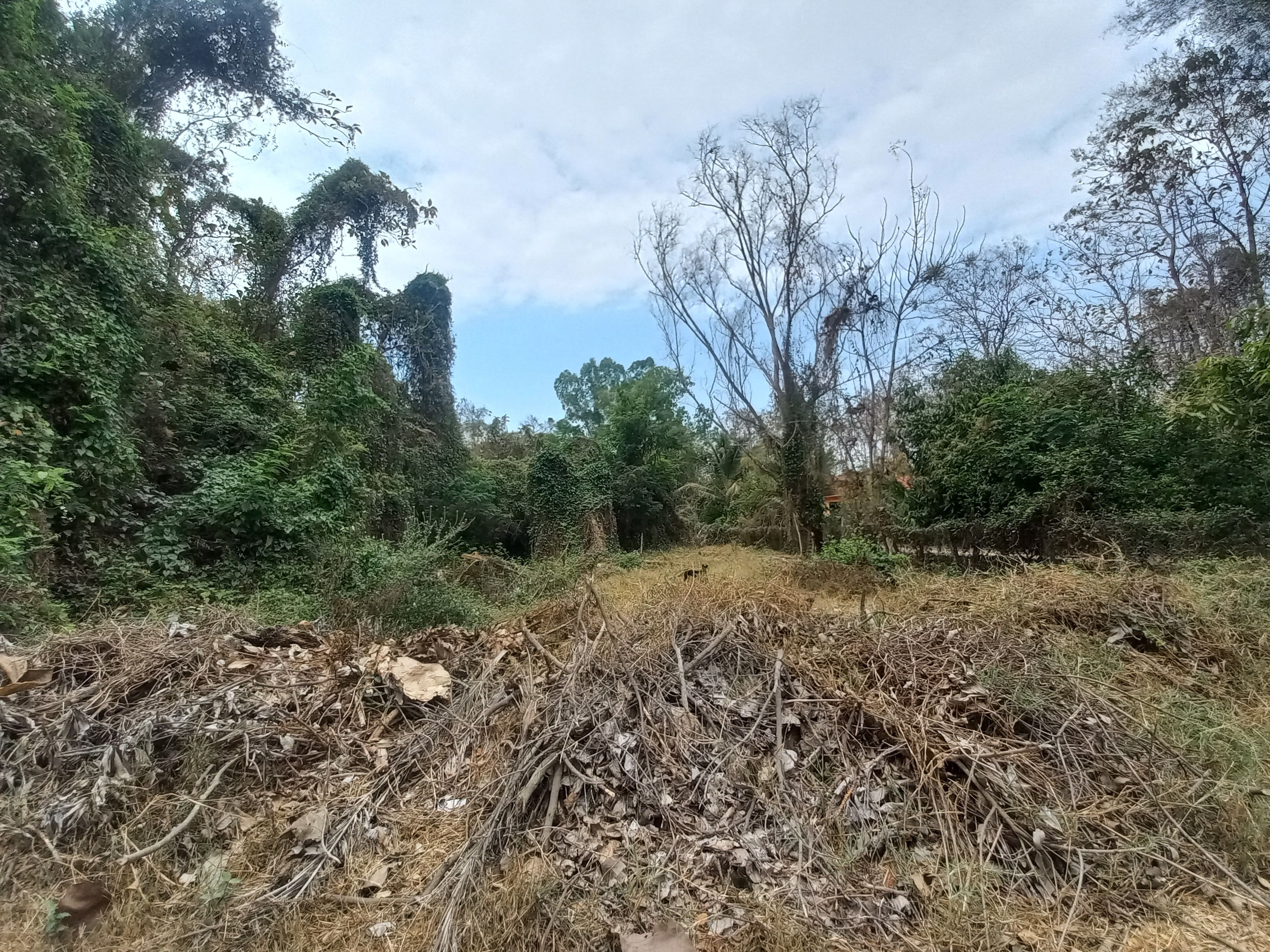 ขายที่ดินบ้านแพะดอนตัน ตำบลชมพู อำเภอเมืองลำปาง