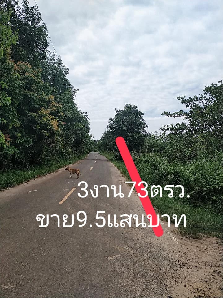 ที่ดินติดถนนสองด้าน อุบลราชธานี 373 ตรว.