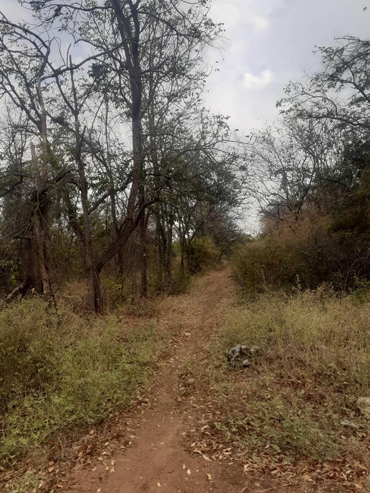 ที่ดินติดภูเขา สุพรรณบุรี 5-2-98