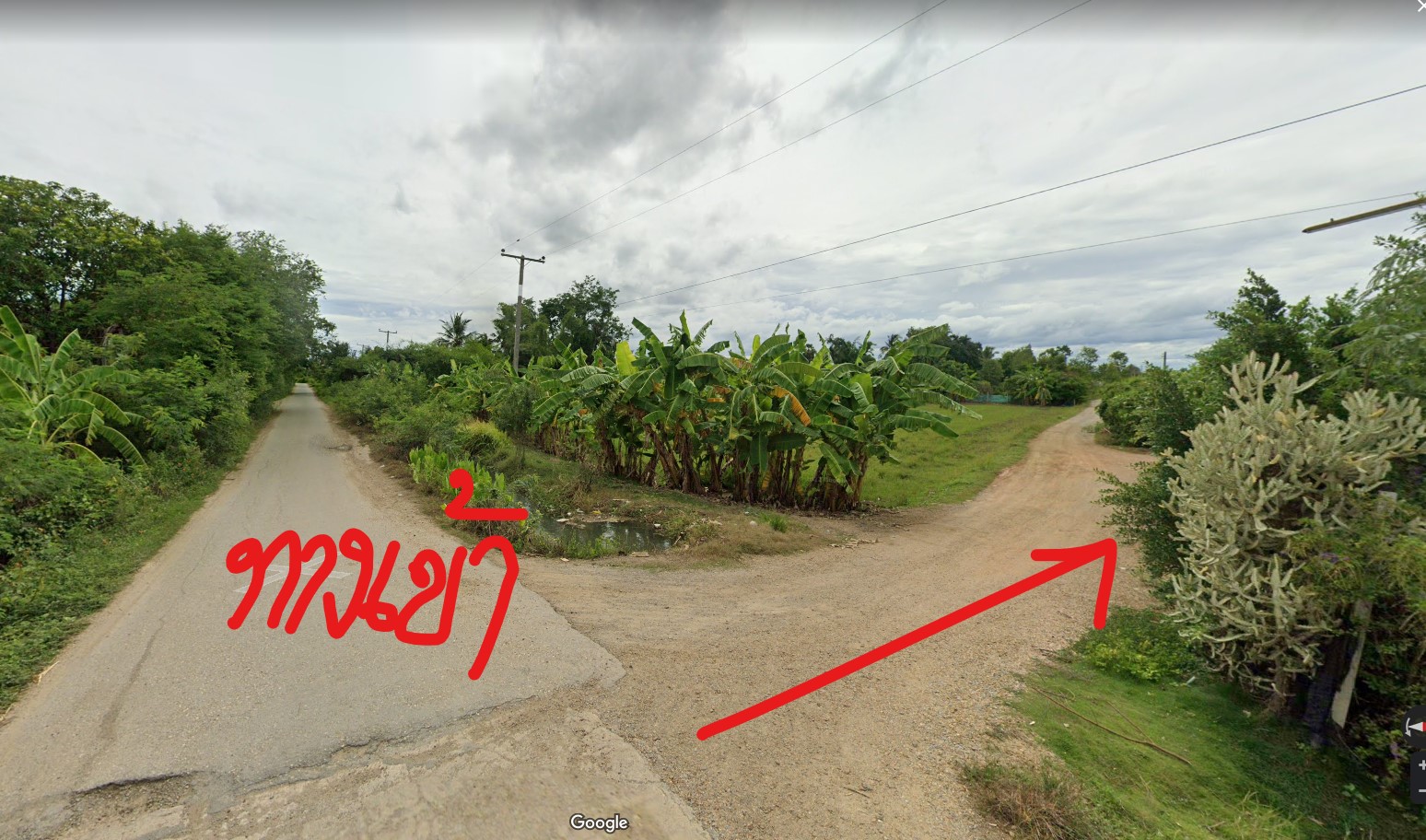 ขายที่ดิน ที่เปล่าแบ่งขาย สองพี่น้อง สุพรรณฯ 4-0-83