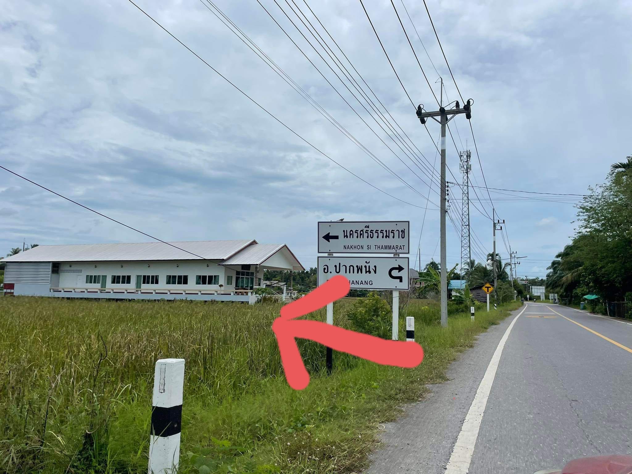 ขายที่ดินต.บางจาก อเมืองนครศรีธรรมราช จ.นครศรีธรรมราช 9-2-1.4 ไร่