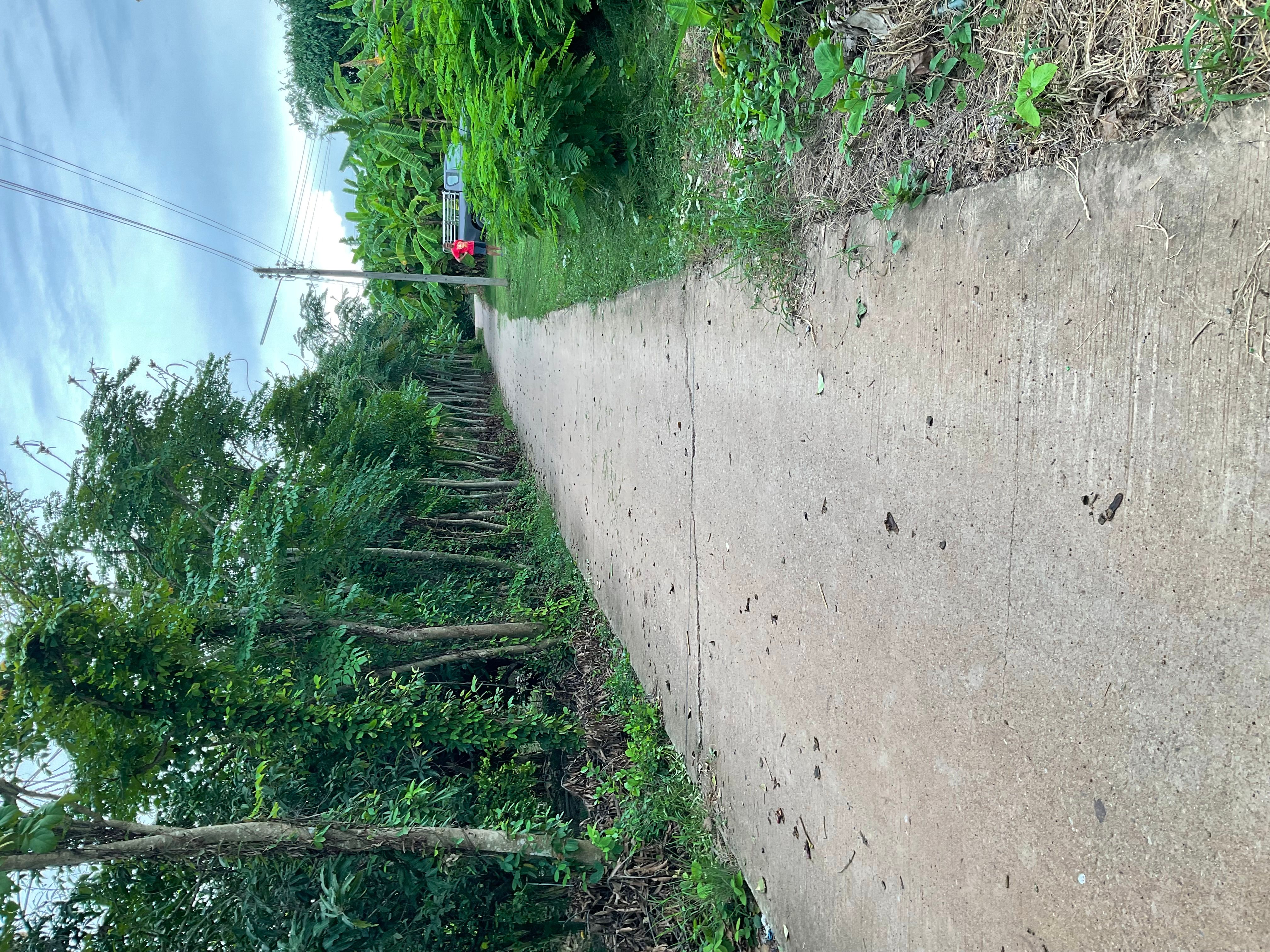 ขายที่ดินใกล้เมืองพิจิตร