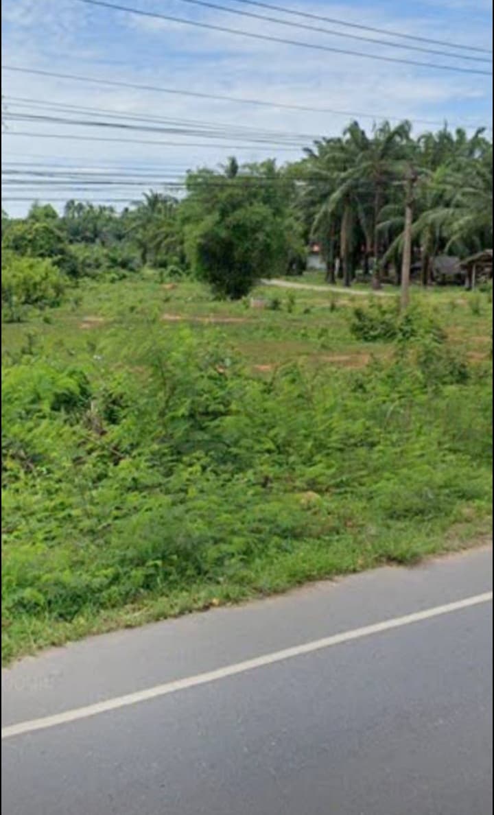 ขายที่ดินสุราษฎร์ธานี จ.สุราษฎร์ธานี อ.ไชยา 2-0-64 ไร่