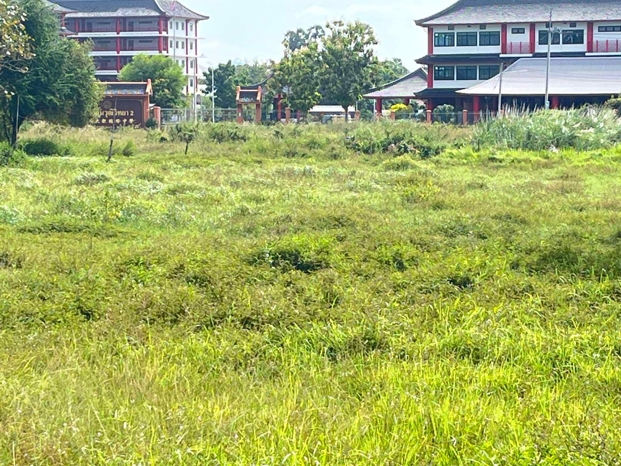 ขายที่ดินชลบุรี อำเภอเมืองชลบุรี ที่ดินว่างเปล่า ทำเลดี