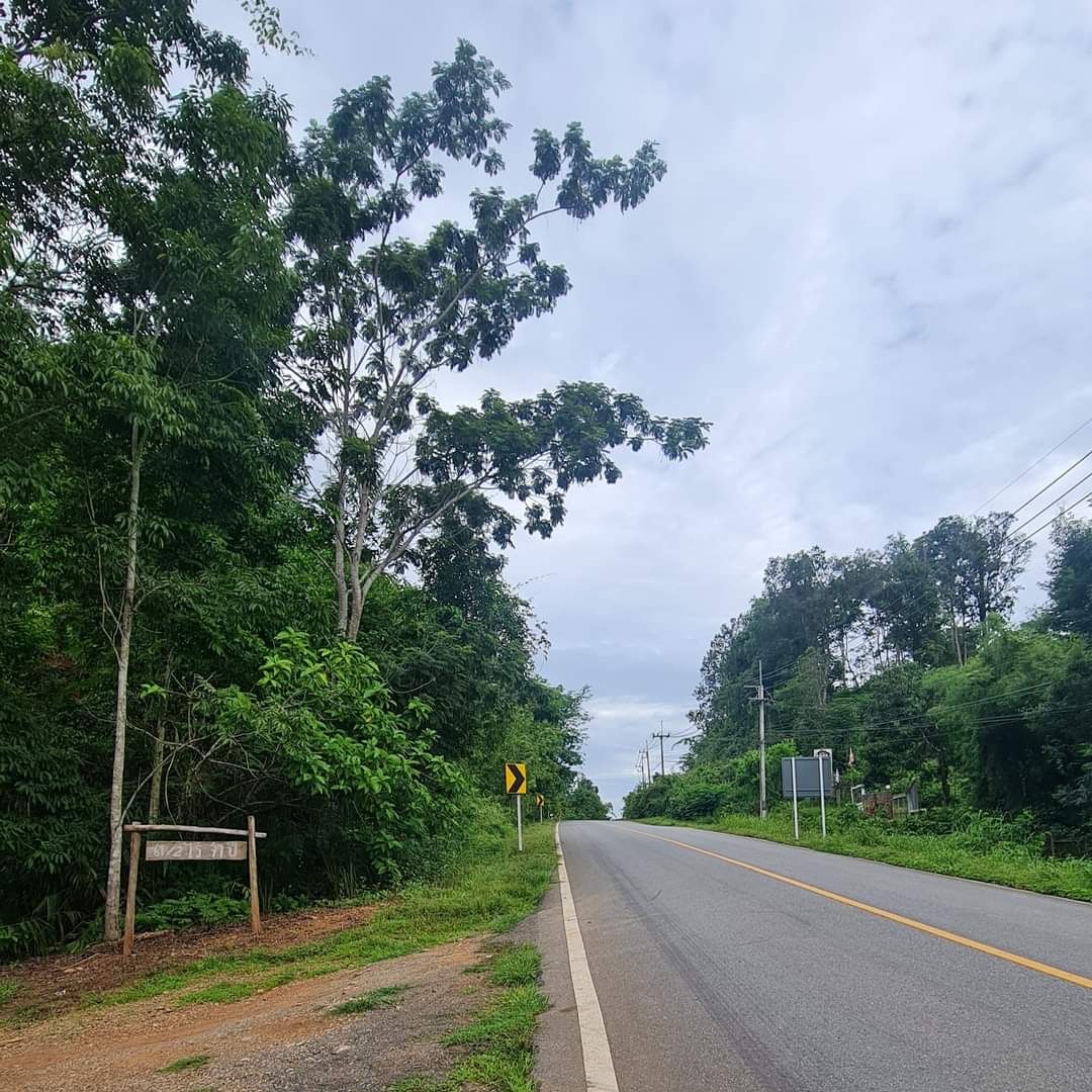 ขายที่ดิน ติดริมถนนใหญ่ สาย3272 อ.ทองผาภูมิ 