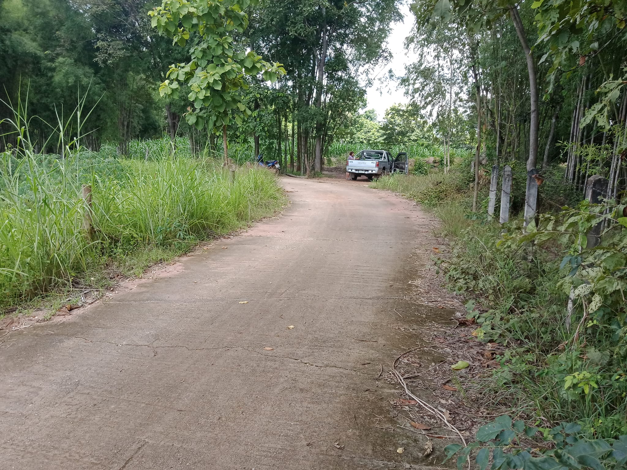 ขายที่ดิน ที่เปล่า แม่ทะ ลำปาง 5-3-47