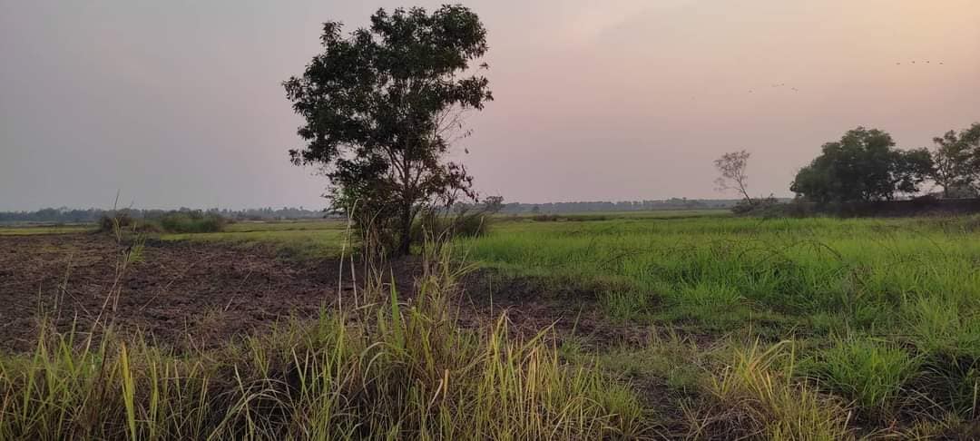 ขายที่ดินปราจีนฯ เมืองปราจีนฯ 15-1-40