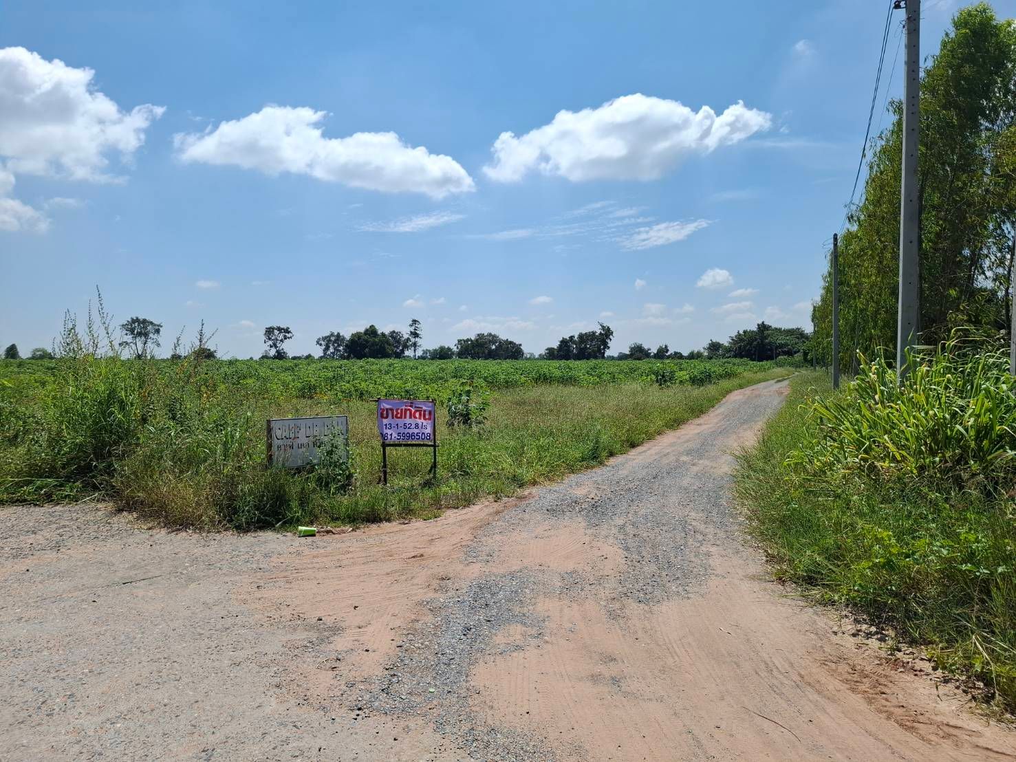 ขายที่ดิน