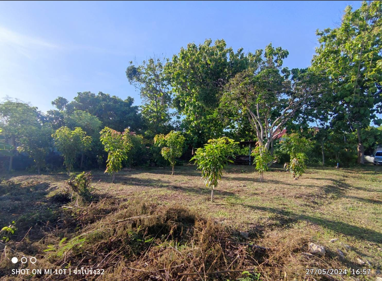 👉 “ที่ดิน 120 ตร.วา ใกล้สุขุมวิท 200 ม. สัตหีบ ขาย 1.8 ล้าน เจ้าของออกค่าโอน
