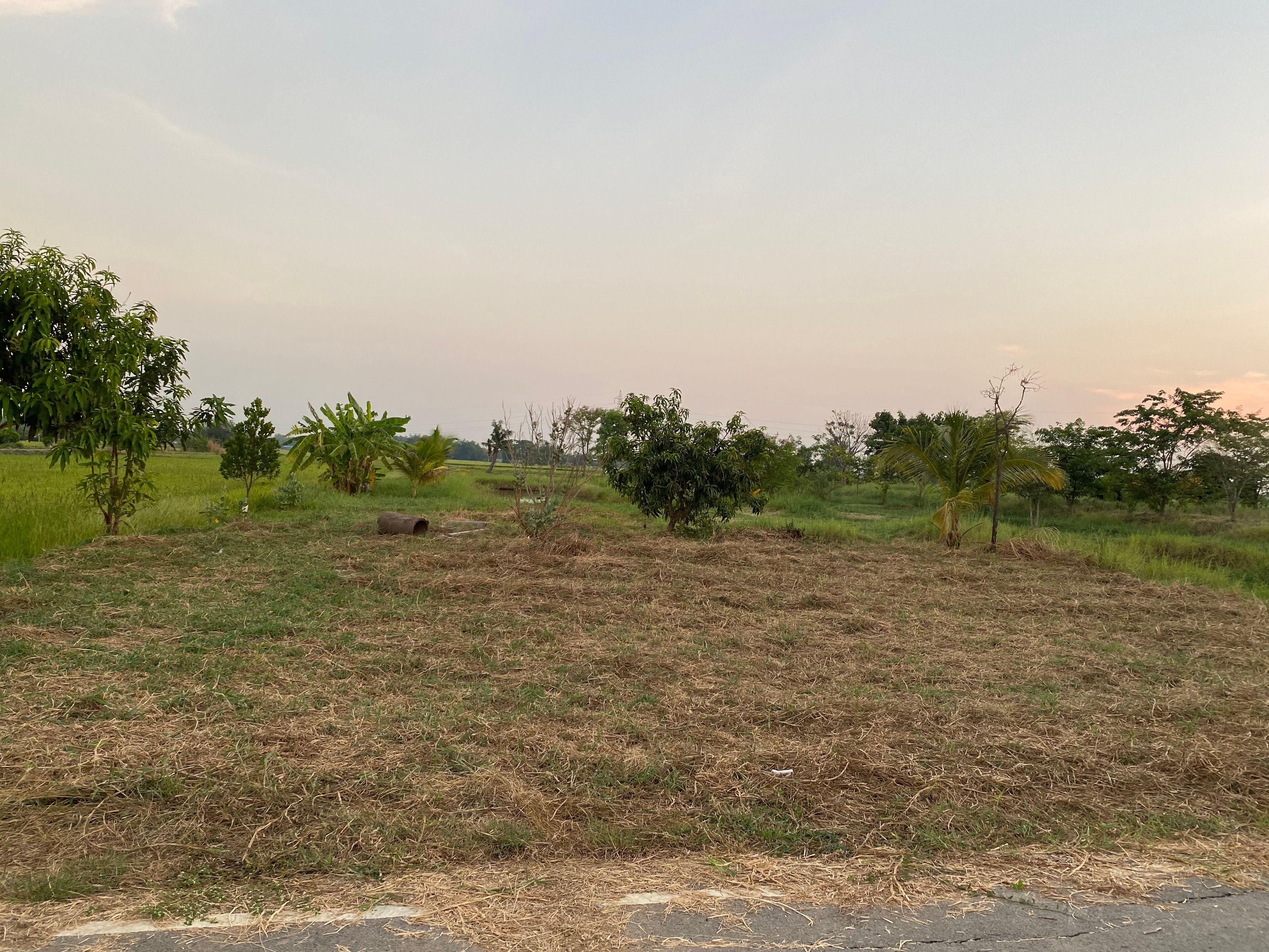 ขายที่ดินสระบุรี หนองแซง ที่ดินถมแล้ว อ.หนองแซง จ.สระบุรี