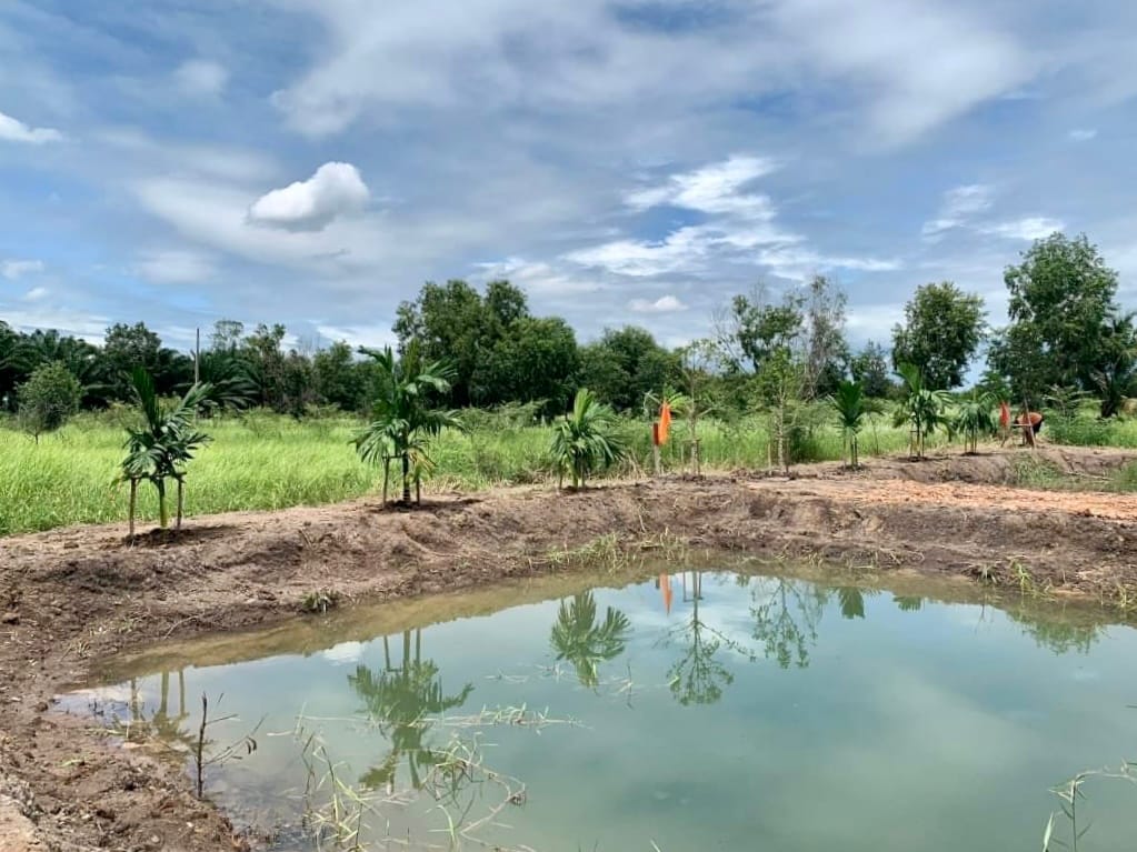 ที่ดินเหมาะสร้างบ้านสวนสงบร่มรื่น ใกล้กรุงเทพ คลอง10 ปทุมธานี 