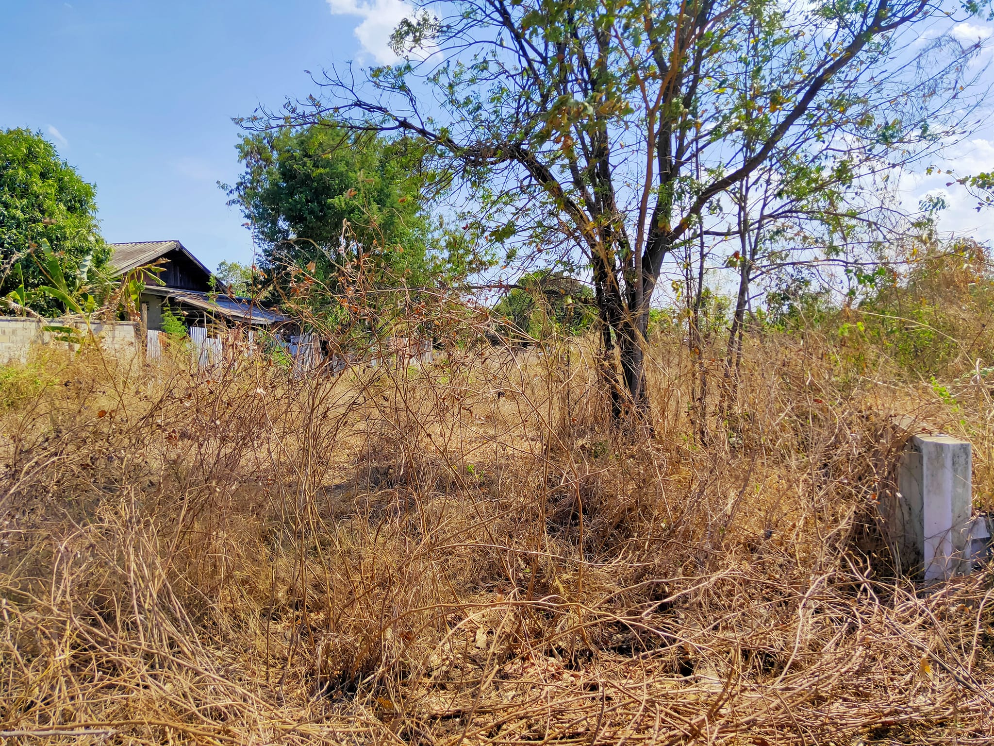 ที่ดินสวย ใกล้หมู่บ้านตากสินธนกิจและแหล่งชุมชน ตาก 227.1 ตรว.