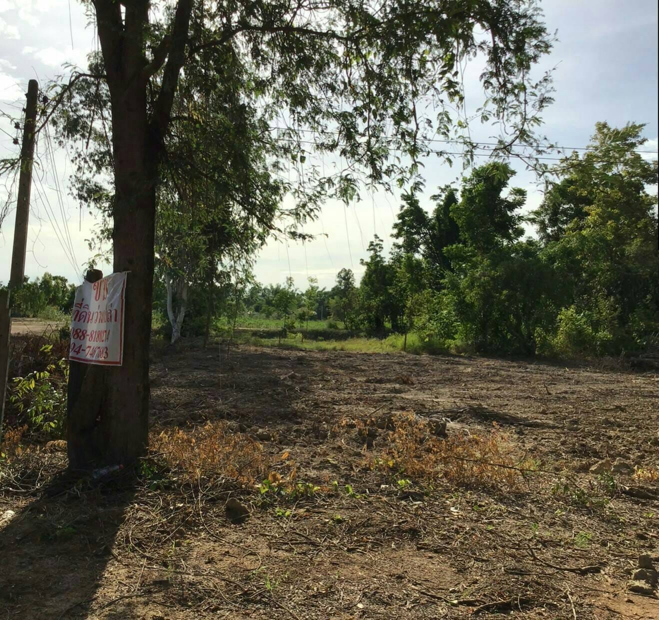 ที่ดินราคาถูก พิจิตร 378 ตร.ว