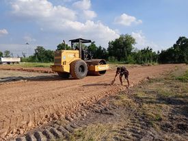 ขายที่ดินเปล่าสระบุรี จ.สระบุรี อ.วังม่วง 2-0-97.6 ไร่