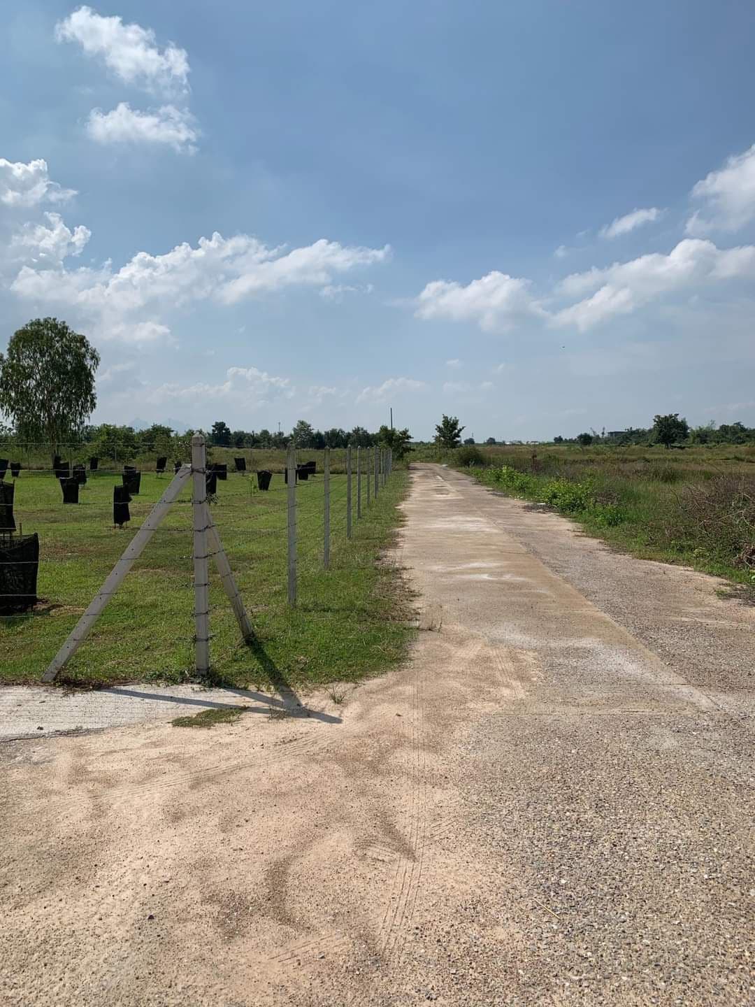 ที่ดินเปล่า อ.ปราณบุรี จ.ประจวบคีรีขันธ์