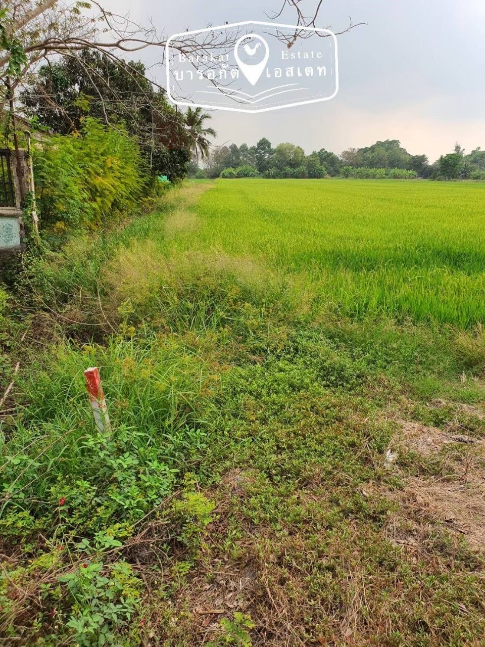 น้าติดถนน หลังติดคลอง ที่สวย เนื้อที่กว่า 6 ไร่ อำเภอบางน้ำเปรี้ยว ฉะเชิงเทรา