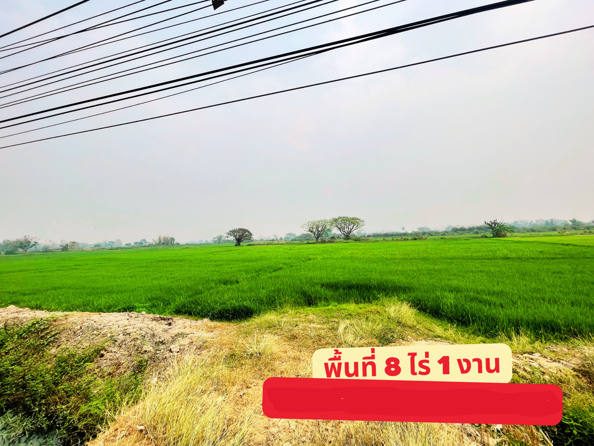 ที่ดินสวย ติดถนนพหลโยธิน (๑) 