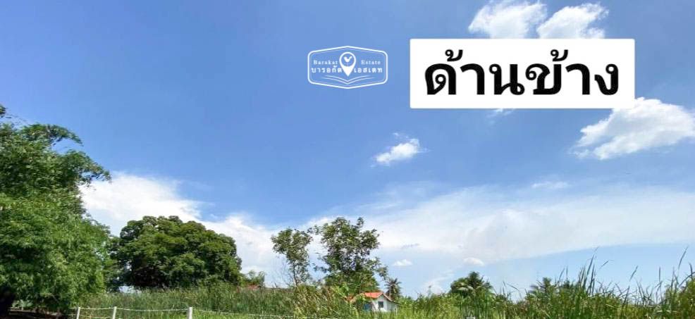 ที่ดินเปล่า ที่ดินหนองจอก ราคาถูก