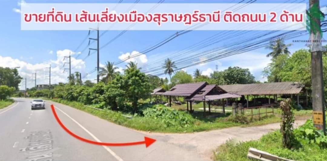 ที่ดินในเมืองสุราษ