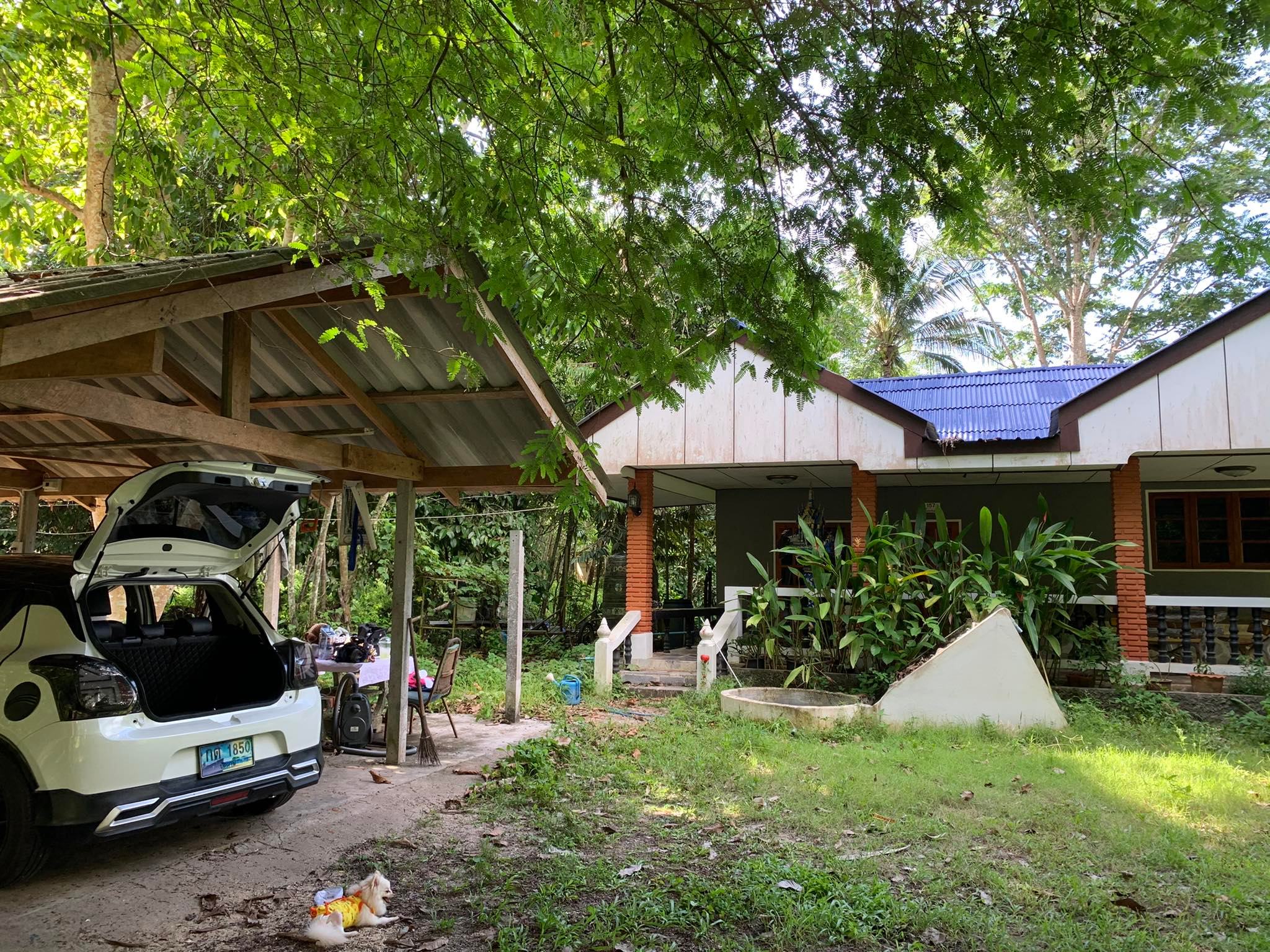 ที่ดินแปลงใหญ่ สวนยางพร้อมบ้าน  ปัตตานี 30-0-85.9