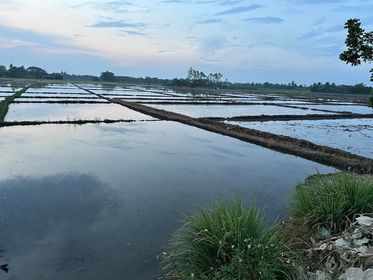 ขายที่ดินเชียงใหม่ ที่ดินแปลงใหญ่เหมาะสำหรับการพักผ่อนและการลงทุน แม่วาง 8-0-75
