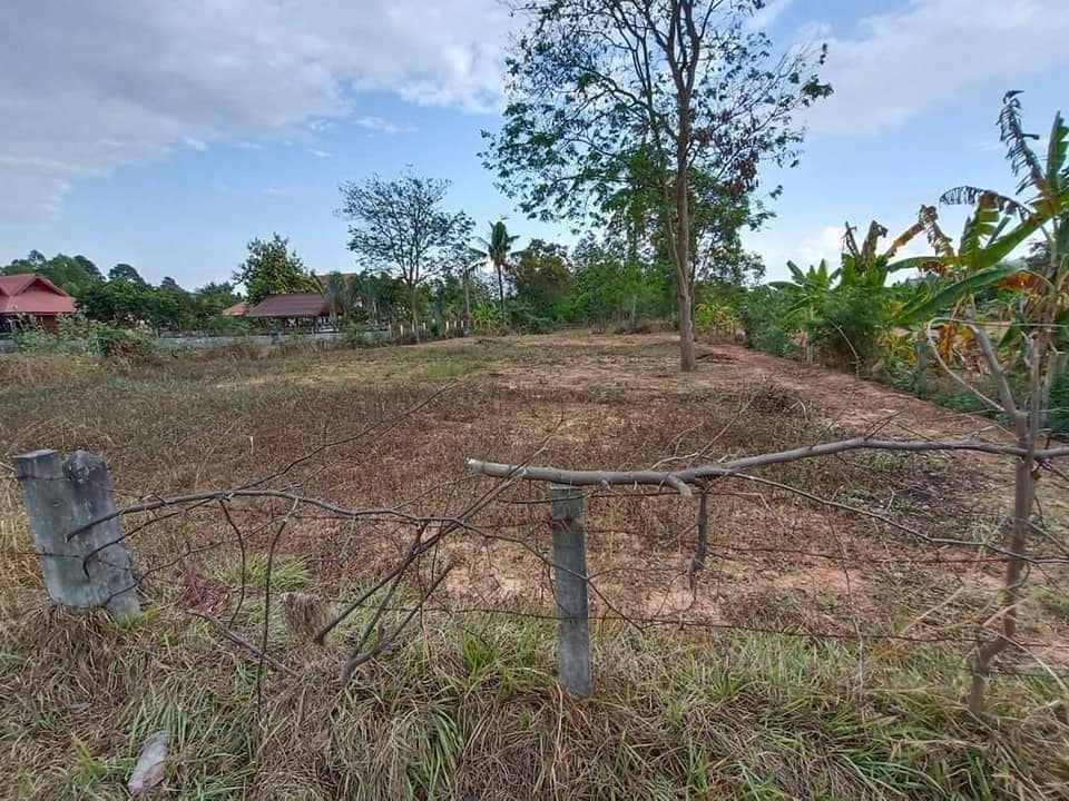 ที่ดินถมแล้วอำเภอบรบือ มหาสารคาม 207 ตรว.