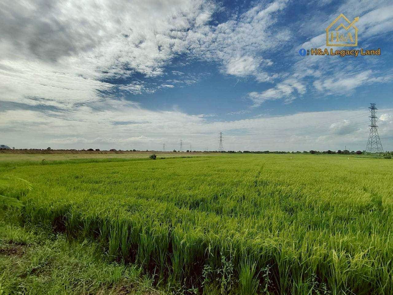 ขายที่ดินเปล่าแปลงสวย ติดถนนใหญ่ อย.3006 ลาดบัวหลวง–ไม้ตรา อ.ลาดบัวหลวง จ.พระนครศรีอยุธยา 30-3-74 ไร่