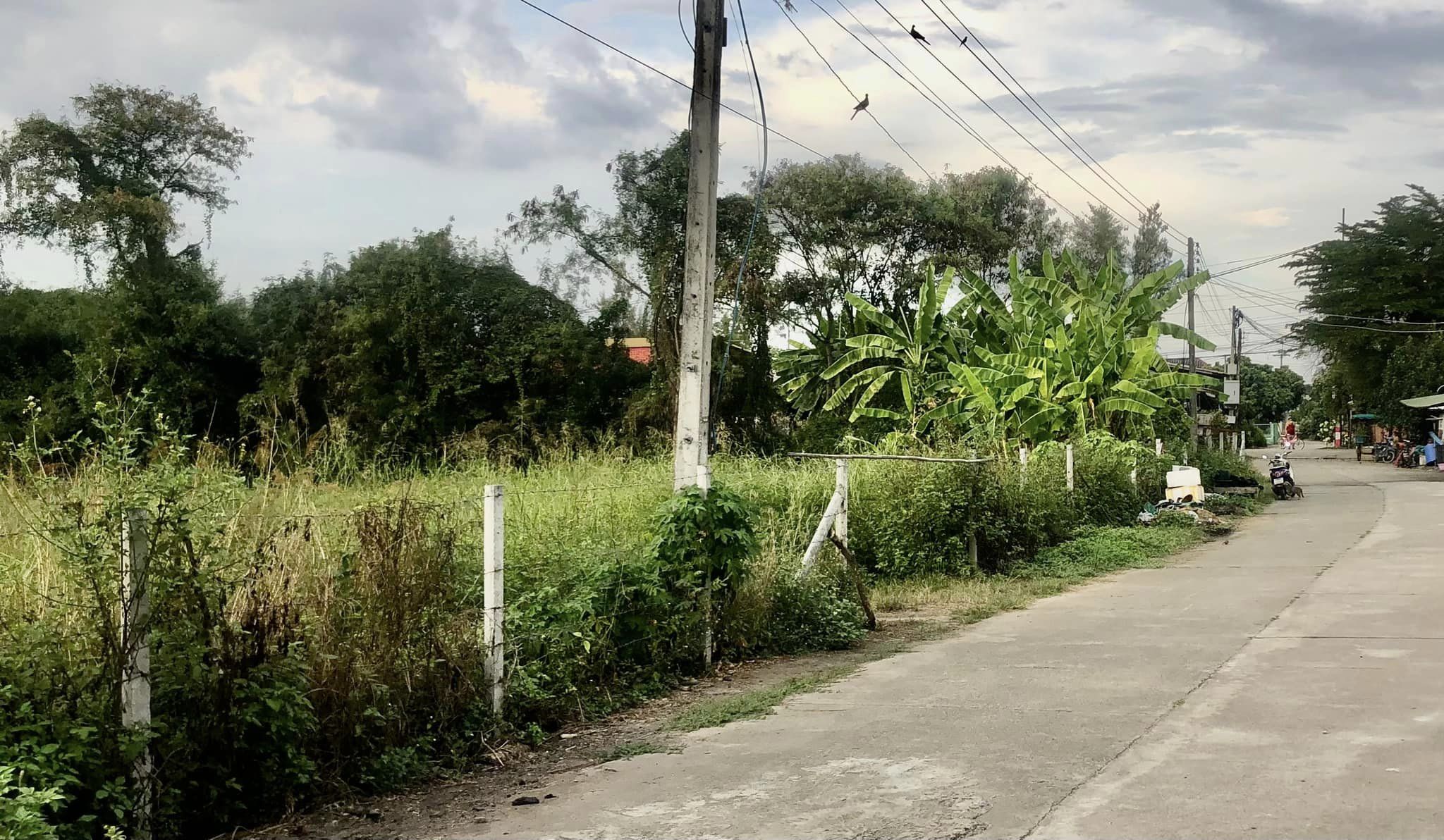 ขายที่ดินลำพูน เมืองลำพูน 5-0-53.8