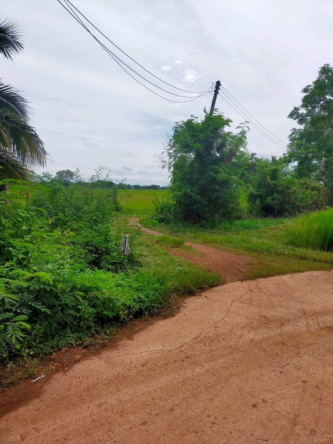 ขายที่ดินลำปาง เมืองลำปาง 8-1-39