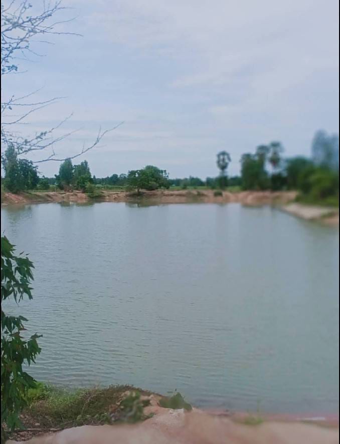 ขายที่ดินสุพรรณฯ ดอนเจดีย์ 3-2-99