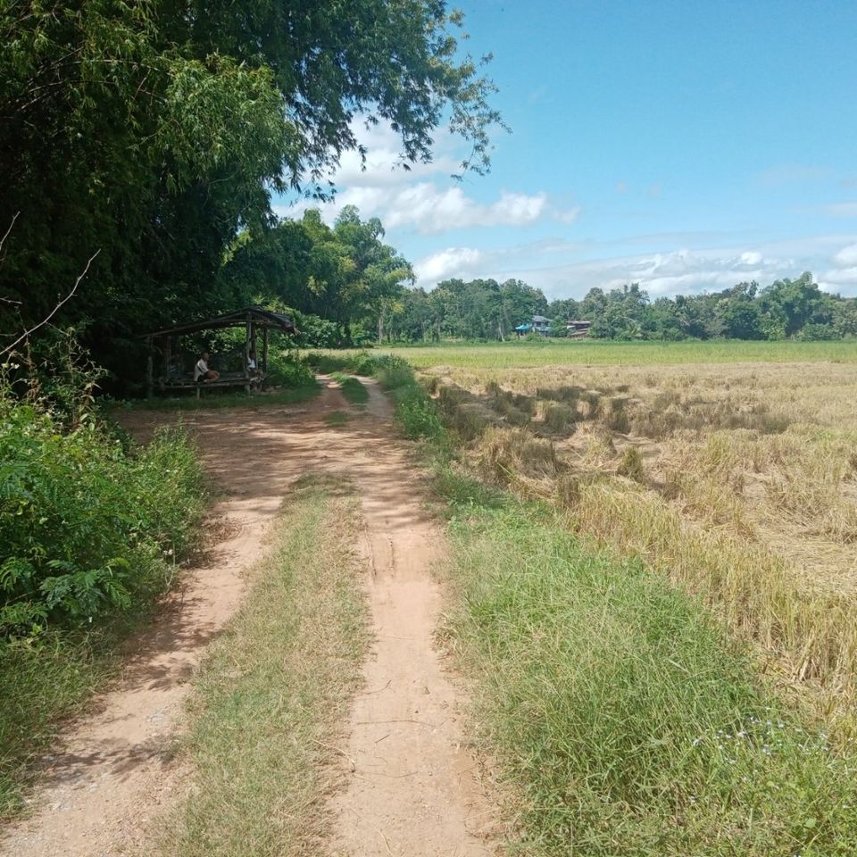 ที่ดินทุ่งนา แพร่ 3-3-85 ไร่