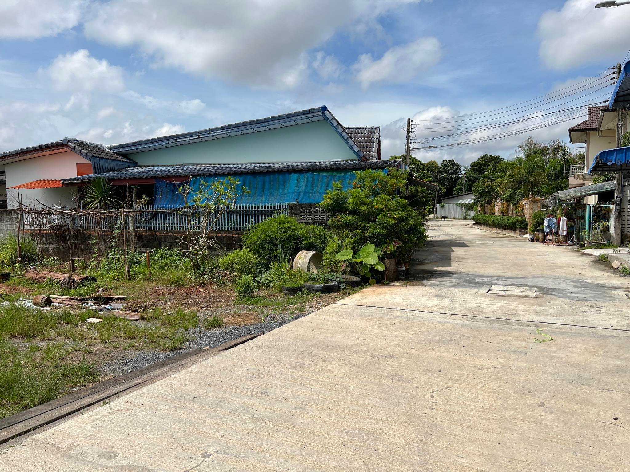 ขายที่ดินสุราษฎร์ เมืองสุราษฎร์ 1-1-42.1