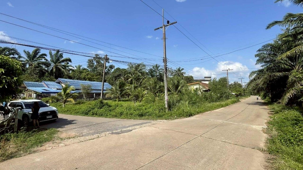 ขายที่ดินกระบี่ เขาพนม ในเขตชุมชน