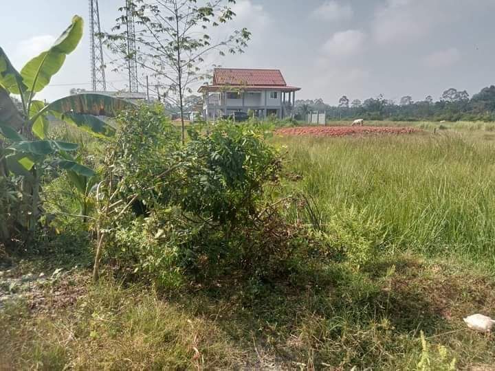 #ขายที่ดินสุราษฎ์ธานี แปลงสวย บรรยากาศดี ทำเลดี ใกล้ ซินเดียรีสอร์ท พุนพิน สุราษฎรฯ 0-2-46 ไร่.
