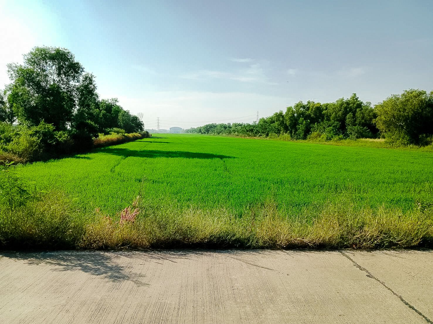  แปลงสวยติดถนน 3 ด้าน เหมาะสุดในการประกอบธุรกิจ ฉะเชิงเทรา